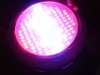 130W unbranded LED grow light - Turned on (2 of 2)