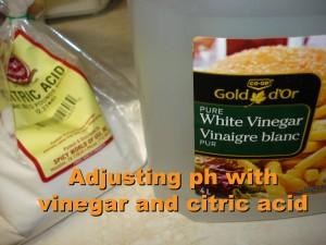 L'acide citrique et le vinaigre blanc (5% acétique) qui ont été utilisés