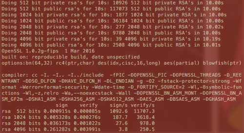 openssl speed rss - ARM