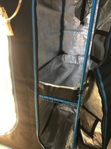 Opulent 36x24x53 grow tent - divider installed - right side